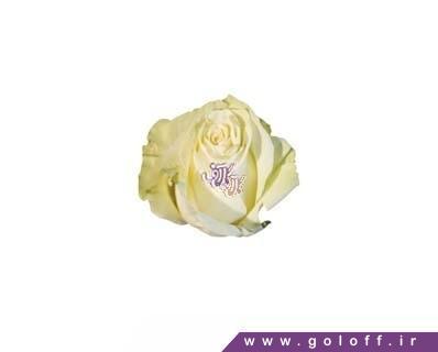 product 2286 mothers day flower basket 7